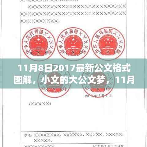 11月8日最新公文格式图解,小文的大公文梦与图解之旅