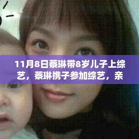 蔡琳携子参加综艺,新手爸妈的亲子互动学习之旅指南