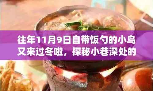 探秘美食秘境,小鸟携勺冬归,往年11月与一月美食盛宴开启