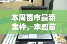 本周苗市热点揭秘,最新案件动态全掌握