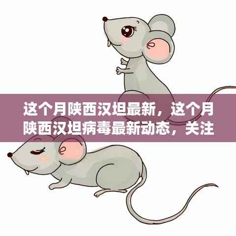 陕西汉坦病毒最新动态,关注疫情进展,共筑健康防线