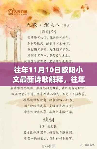 欧阳小文诗歌解析,诗意深度解读与情感探索——往年11月10日诗歌解读分享