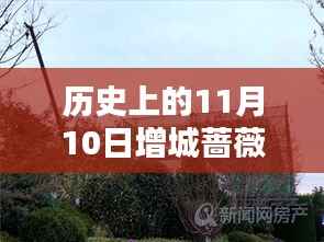 历史上的11月10日增城蔷薇国际房价揭秘,最新价格一览表!