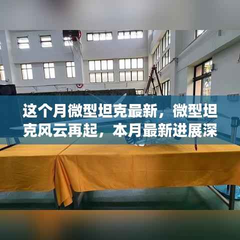 微型坦克风云再起,本月最新动态深度解析