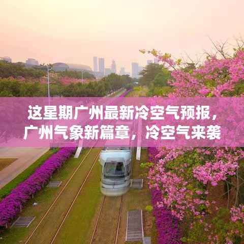 admin 第32页