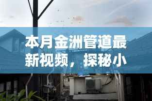 在线留言 第257页