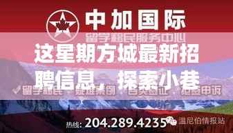 方城最新招聘信息揭秘,小巷秘境与独特小店之旅