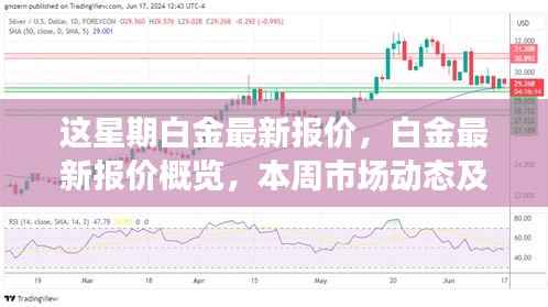 本周白金最新报价及市场动态深度解析