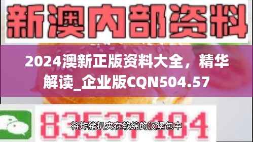 2024澳新正版资料大全,精华解读_企业版CQN504.57