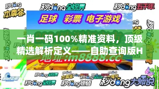一肖一码100%精准资料,顶级精选解析定义——自助查询版HOU688.73