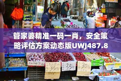 管家婆精准一码一肖,安全策略评估方案动态版UWJ487.85