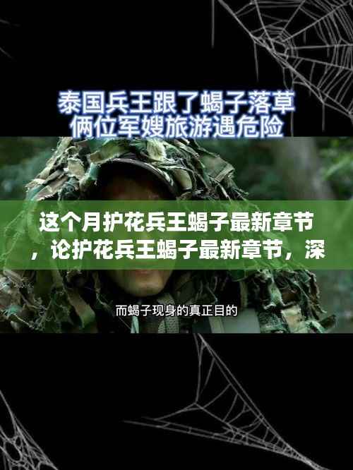 护花兵王蝎子最新章节深度解析,人物与故事走向揭秘