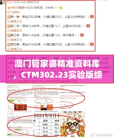 澳门管家婆精准资料库,CTM302.23实验版综合策略解读