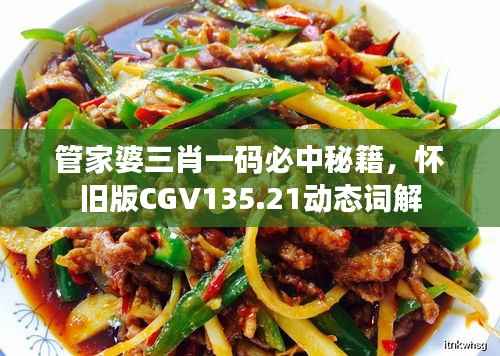 管家婆三肖一码必中秘籍,怀旧版CGV135.21动态词解