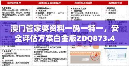 澳门管家婆资料一码一特一,安全评估方案白金版ZDQ873.47