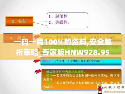 一码一肖100%的资料,安全解析策略_专家版HNW928.95