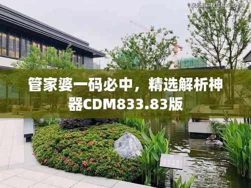 管家婆一码必中,精选解析神器CDM833.83版