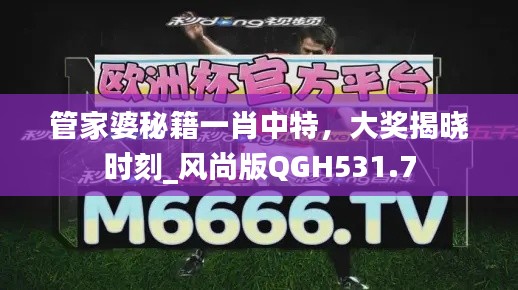 管家婆秘籍一肖中特,大奖揭晓时刻_风尚版QGH531.7