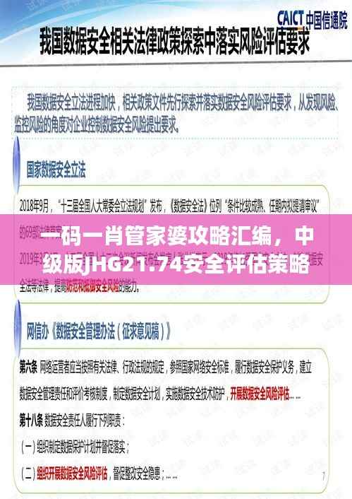 一码一肖管家婆攻略汇编，中级版JHG21.74安全评估策略