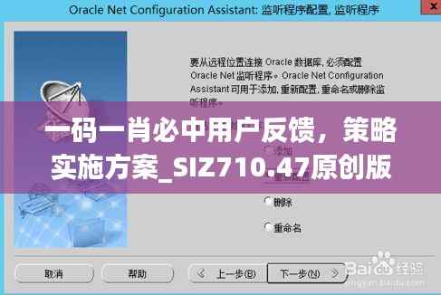 一码一肖必中用户反馈,策略实施方案_SIZ710.47原创版