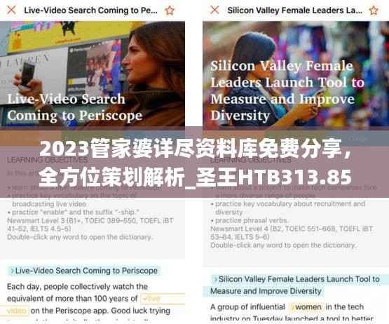 2023管家婆详尽资料库免费分享，全方位策划解析_圣王HTB313.85