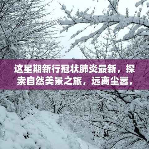 疫情下的别样旅行体验,探索自然美景,远离尘嚣寻求内心平静的新行冠状肺炎时代之旅