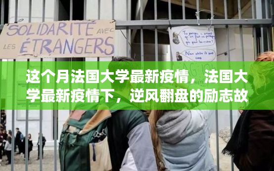 在线留言 第216页