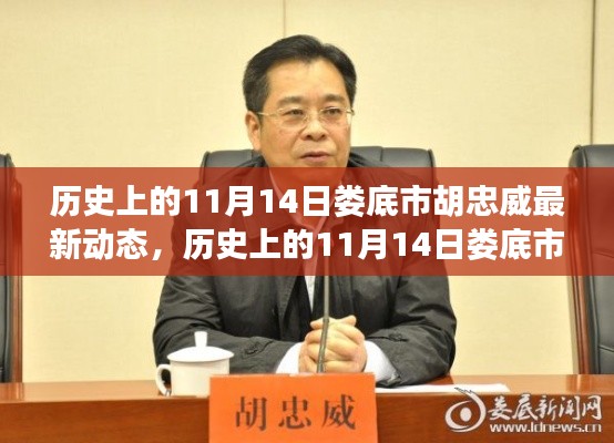 历史上的11月14日娄底市胡忠威的动态,影响与意义探讨