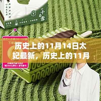 历史上的11月14日太妃传奇,最新解读与影响全解析