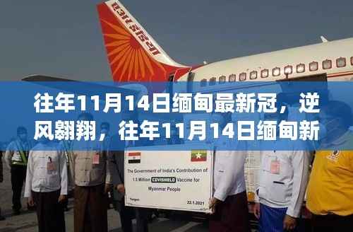 公司概况 第201页