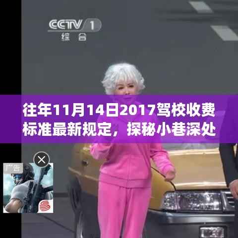 探秘驾校新规定下的驾驶梦想港湾,独特学车体验与最新收费标准揭秘