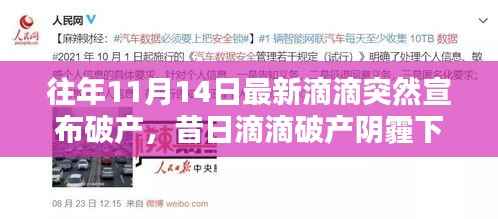 昔日滴滴破产阴霾下,自然绿洲的心灵庇护所