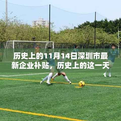 历史上的11月14日深圳市新企业补贴政策回顾，影响与展望