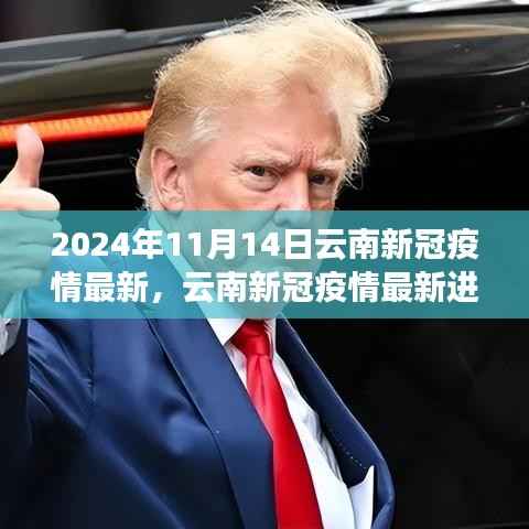2024年11月14日云南新冠疫情最新进展与回顾展望