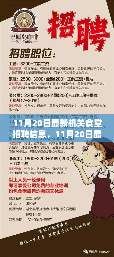 最新机关食堂招聘信息详解,11月20日发布的全解析报告