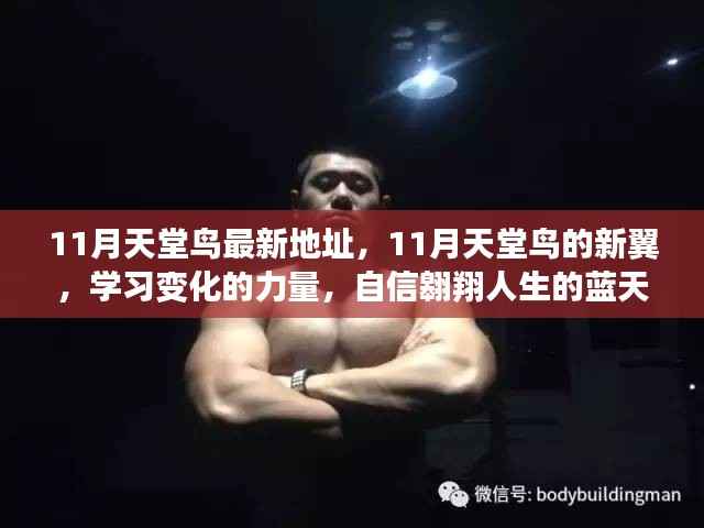 11月天堂鸟新翼展翅,学习变化力量,自信翱翔人生蓝天