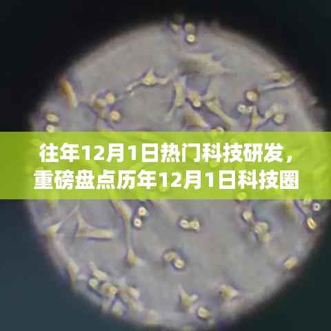 历年12月1日科技爆款研发大盘点,引领未来科技潮流的潮流趋势解析