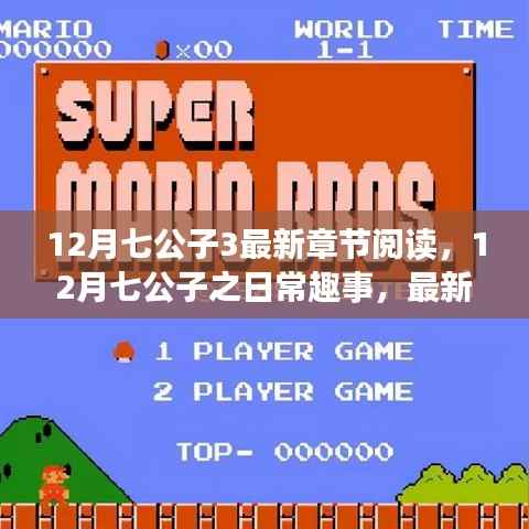 12月七公子最新章节,日常趣事与温情纽带