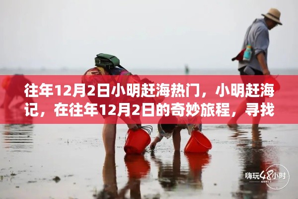 小明赶海记,寻找潮汐之声与内心的宁静之旅