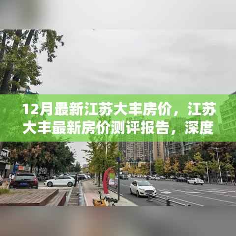 江苏大丰最新房价测评报告,深度解析十二月房价走势与特点,大丰房价动态更新!