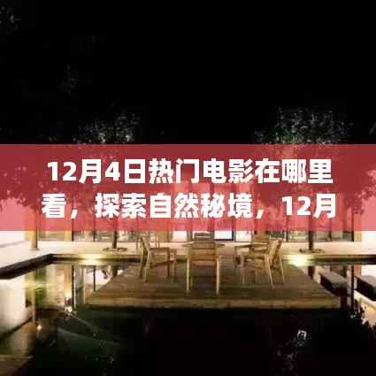 12月4日热门电影,探索自然秘境,心灵宁静之旅