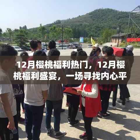 12月樱桃福利盛宴,心灵宁静的樱桃之旅