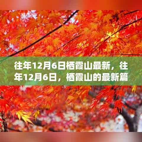 往年12月6日栖霞山深度解析,历史、事件与地位的新篇章