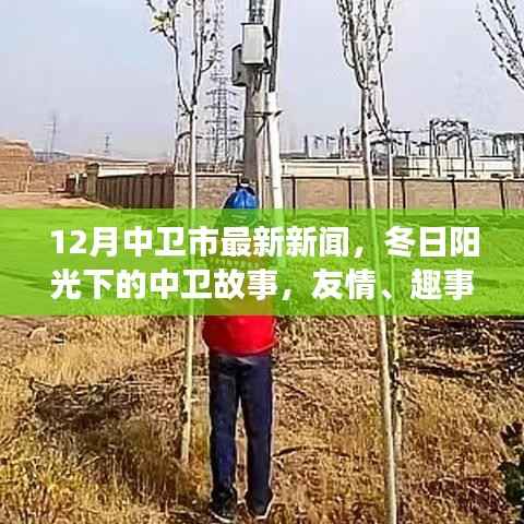 中卫市最新新闻,冬日阳光下的温情故事与家的温暖