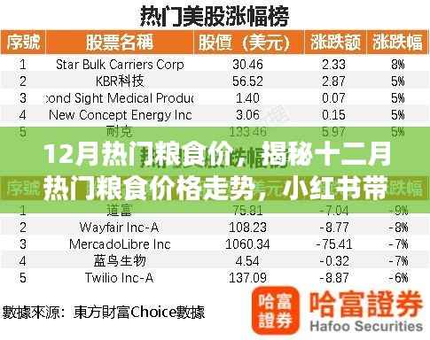 揭秘十二月粮食市场走势，热门粮食价格动态与小红书带你洞悉市场新动态