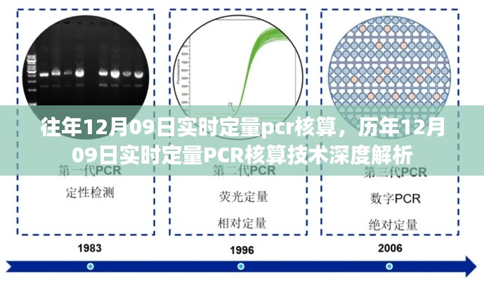 历年与实时定量PCR核算技术深度解析,从实践角度探讨PCR核算技术演变与深度应用