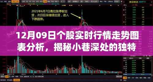 揭秘股市波动背后的特色小店故事,实时行情走势图表分析与小巷深处的独特风味探索(12月09日)