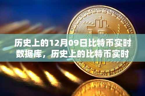 12月09日比特币实时数据库深度探索,从初学者到进阶用户的全方位指南
