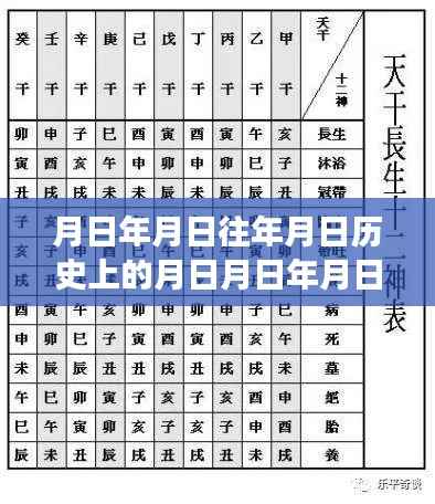 美国大选票数网站,历史与实时选情的深度解读与透视