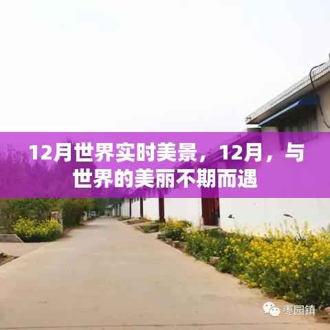 tianshenglizhi 第4页